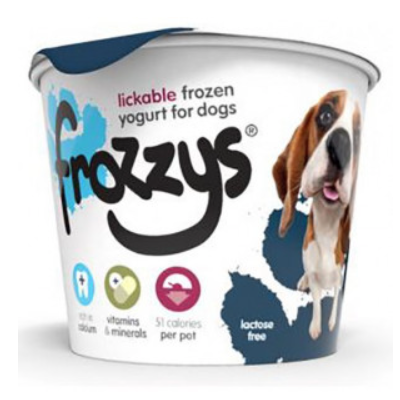 Blueberry Frozen Yogurt | Frozzys